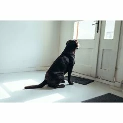 Bark-Bite Bark-Bite Snackbox - Grote Hond