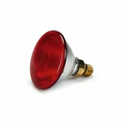 Beeztees Warmtelamp - Infrarood - PAR38 - 175 Watt