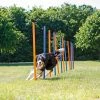 Trixie Trixie Agility Slalom - ø 3 × 115 Cm - 12 Stokken